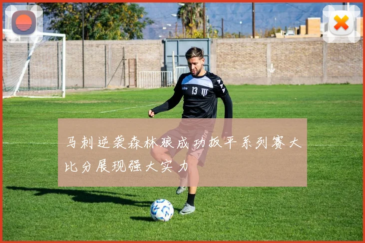 马刺逆袭森林狼成功扳平系列赛大比分展现强大实力
