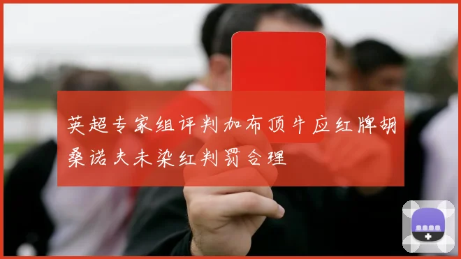 英超专家组评判加布顶牛应红牌胡桑诺夫未染红判罚合理