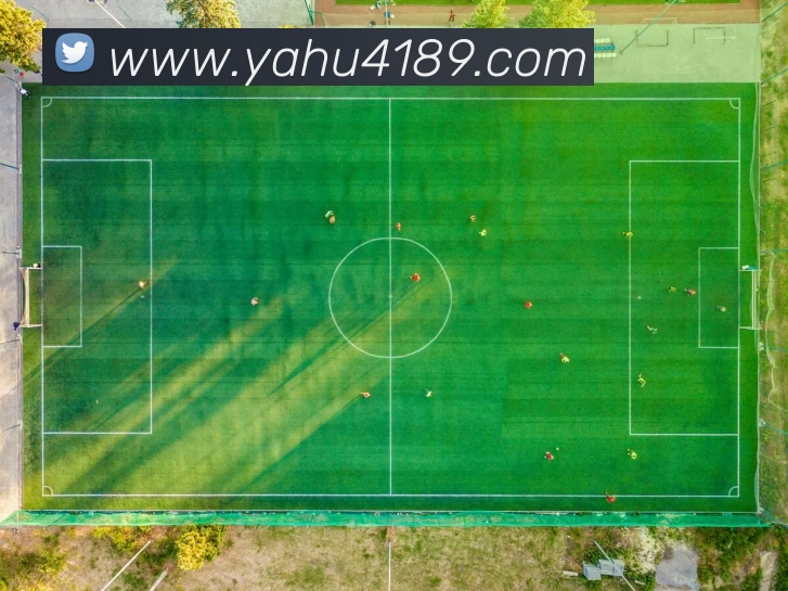 雅虎体育平台生态图